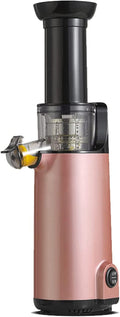 LJPZYOY centrifugeuse, 120 W, Gris, Extracteur de jus compact à pression lente et à froid, rendement de jus plus élevé