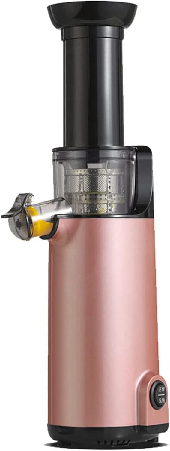 LJPZYOY centrifugeuse, 120 W, Gris, Extracteur de jus compact à pression lente et à froid, rendement de jus plus élevé