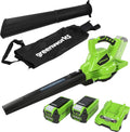 Greenworks Souffleurs de feuilles, 40 V, 9,63 m, 45 L, 2 Ah, Noir, 280 km/h, Sac pour Mulching, Deux Batteries et Chargeur