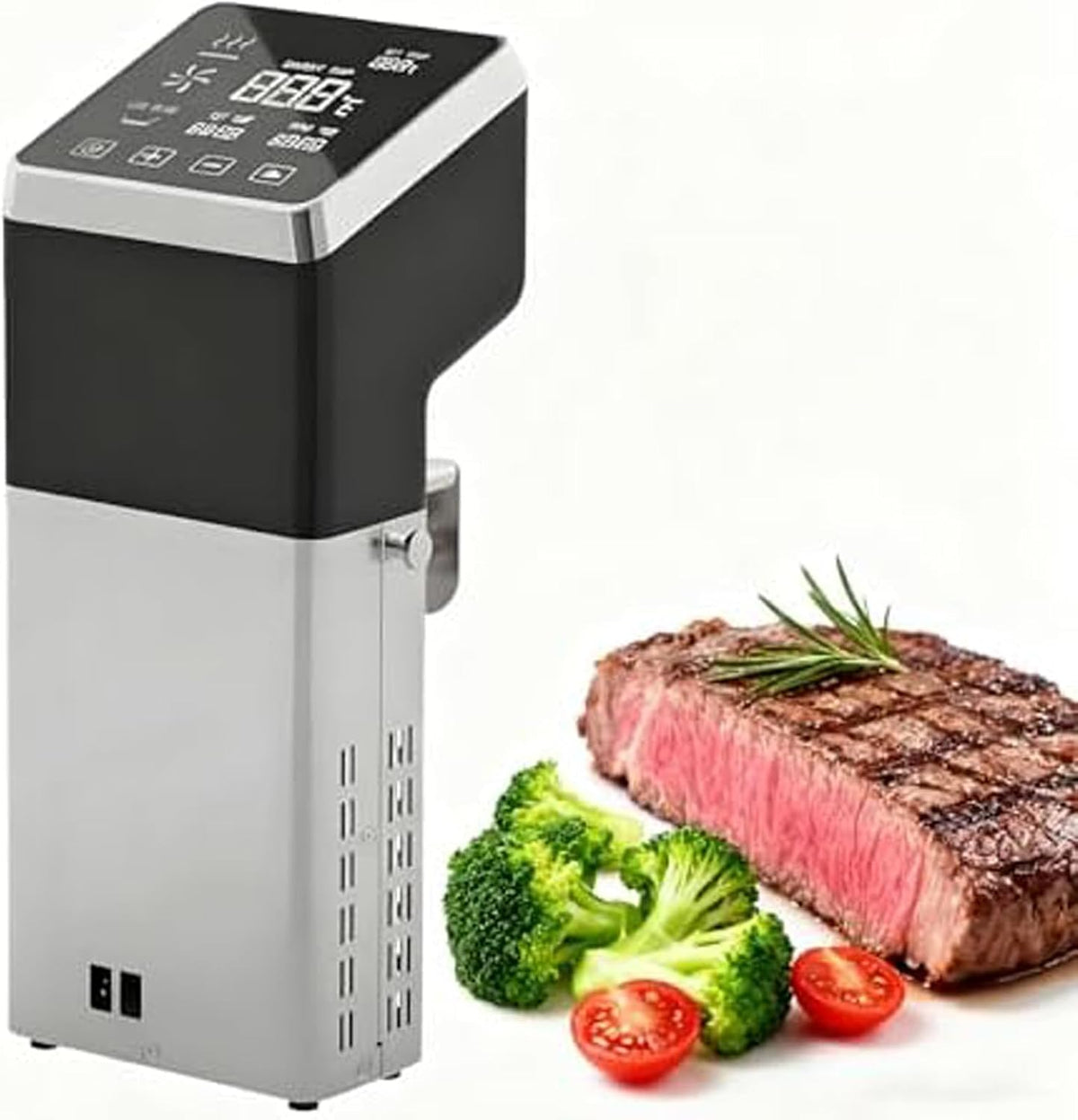 ZenSeFarin Bains-marie sous vide, 13x11x32 cm, 1600 W, 1600 W, Acier inoxydable, Argenté, Cuiseur sous Vide précision