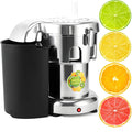NYANS blender, B2000, 370 W, 2800 Tr/Min, 550 W, Argenté, Extracteur De Jus Électrique, Extracteur De Jus Professionnel Facile à Utiliser