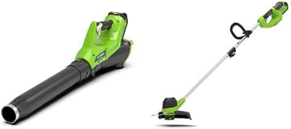 Greenworks souffleur de feuilles, 40 V, 30 cm, 7000 rpm, Noir
